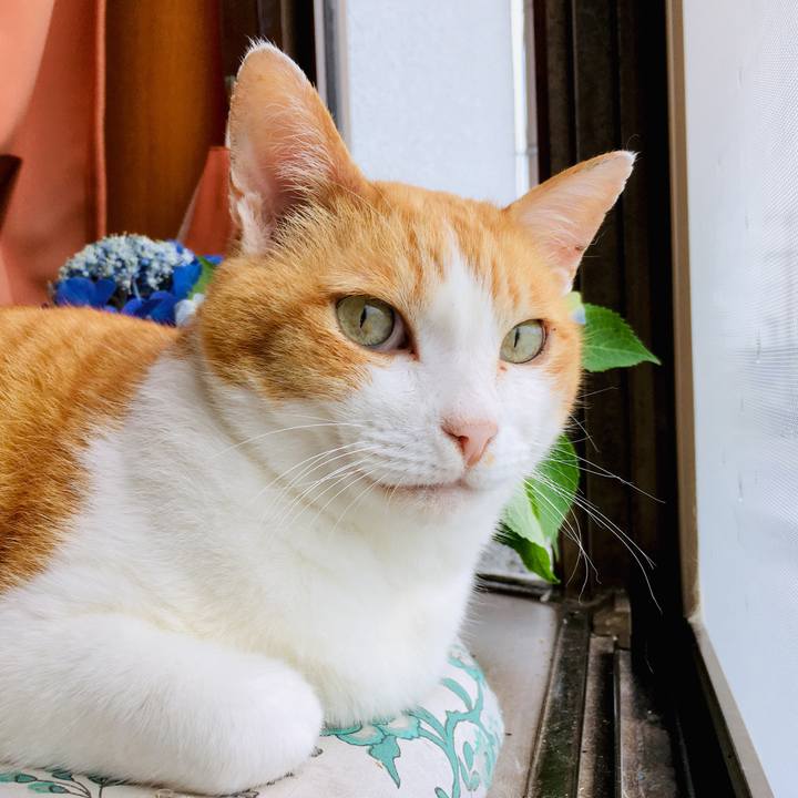 6c97b6fb 3ab8 451e b362 35778fe545a1 1562913405413