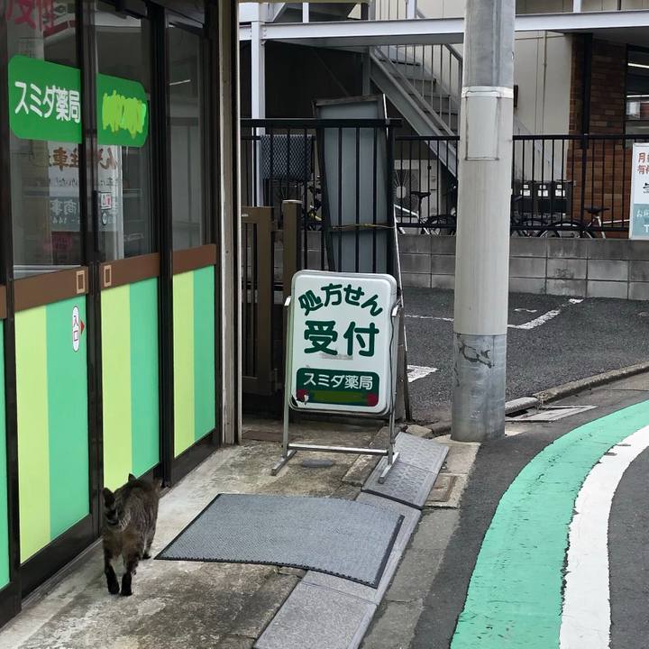 6c97e192 6897 4d1b 8492 e98abfd5c6df 1564046213594