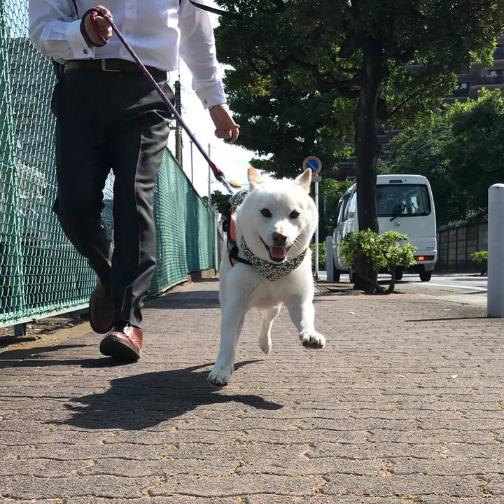 6c97f9a2 cddb 442e aa09 9a880c4cca6d 1532044399807