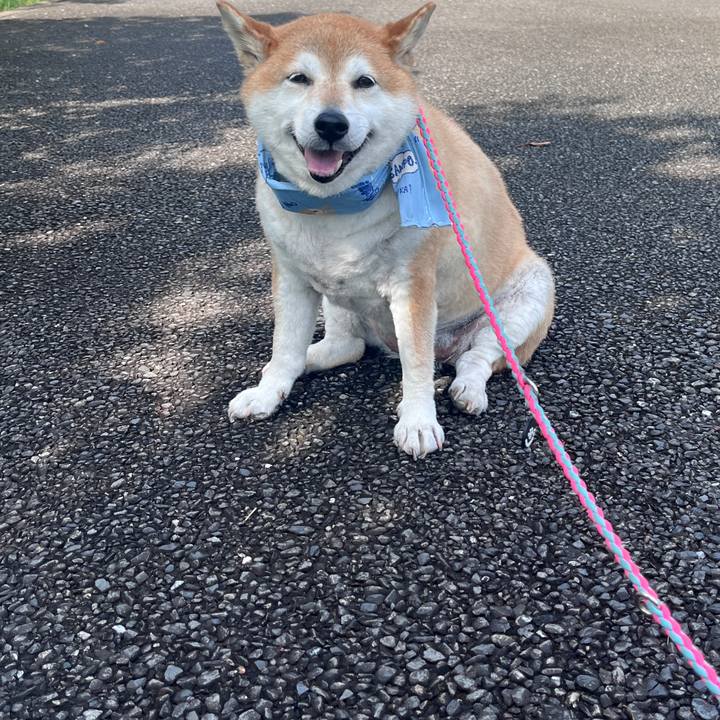 6c980011 753e 4e59 9b13 71573b383916 1722916628986