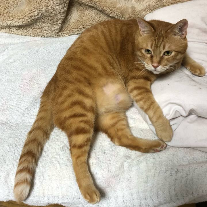 6c98182b 48f2 4990 b4af e4bbeec9e522 1620397605430