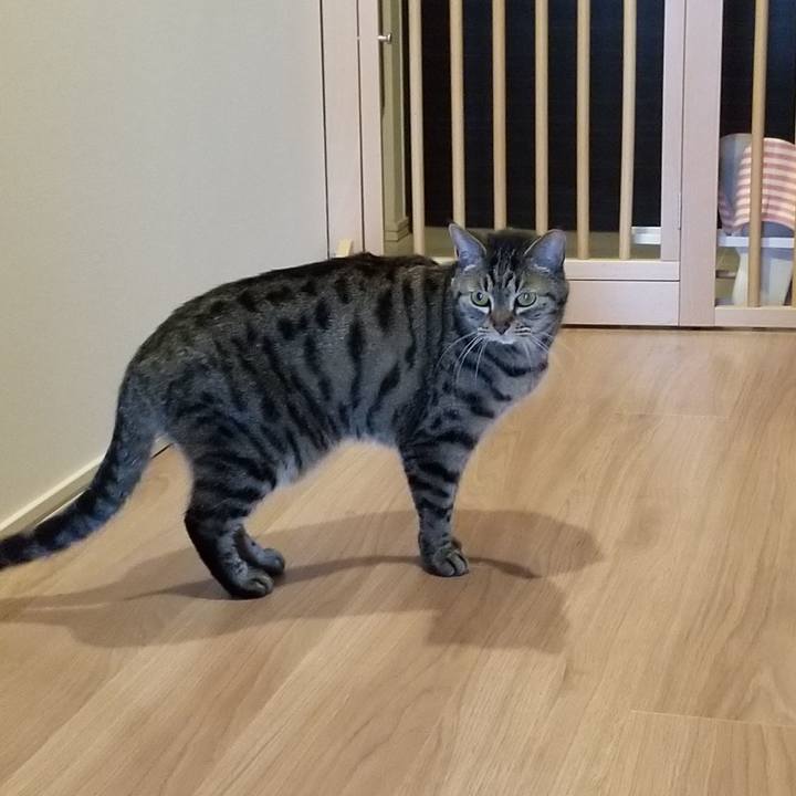 6c981b43 ec36 4b8e b708 6e25022068f9 1620168589783