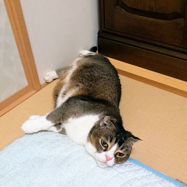 6c983a0e 7bb3 4c35 a135 9442b73bf387 1750168416809