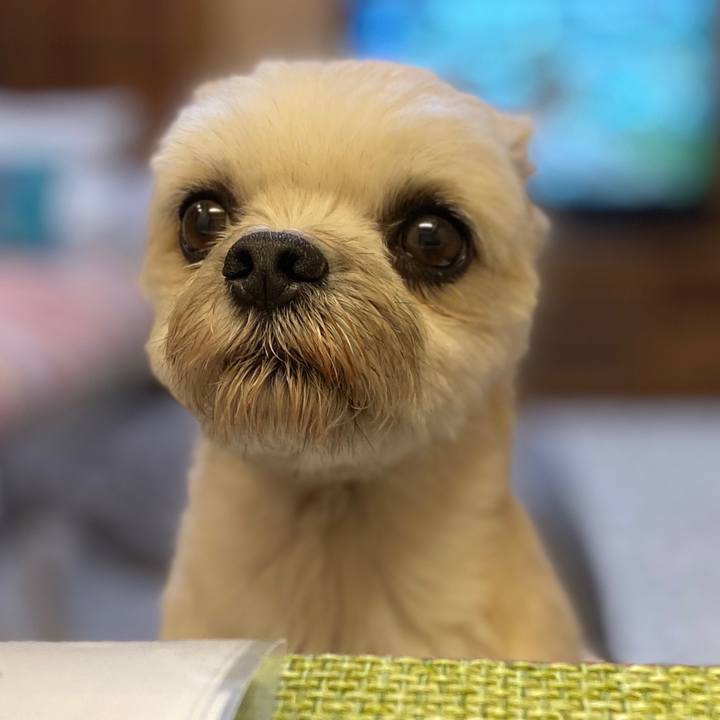 6c98f2ce c8ac 42ca 9c8d f1a2363357d9 1572175270466