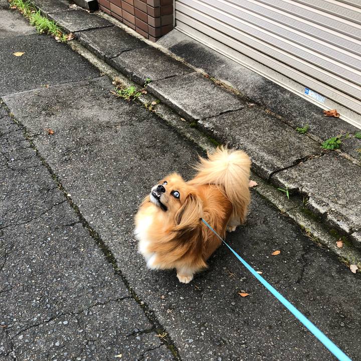 6c99135b cfc0 4559 9e5b d7c1466615be 1561768103247