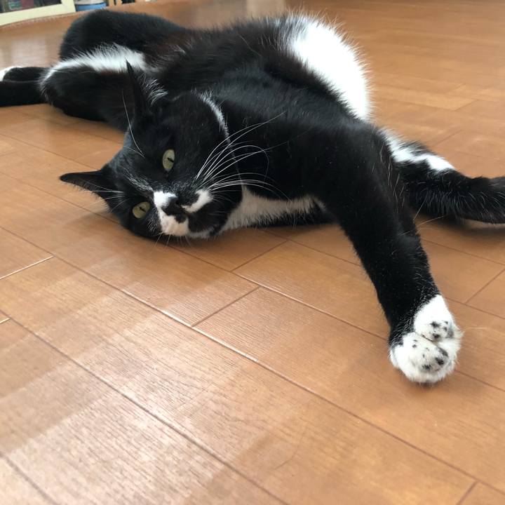 6c991fc7 0575 4054 8a62 83d3f2756669 1611113613995