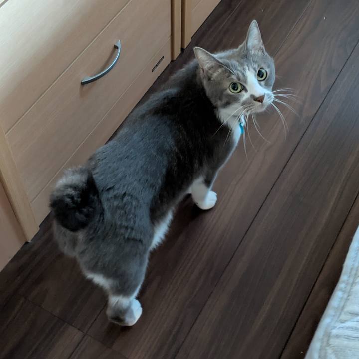 6c9925ef 08d1 4695 8e95 e74c41631d98 1731363377884