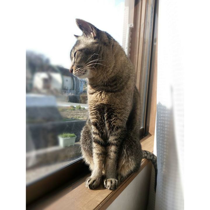 6c997fdc 077c 4567 9224 8ab975fc44f0 1551420307801