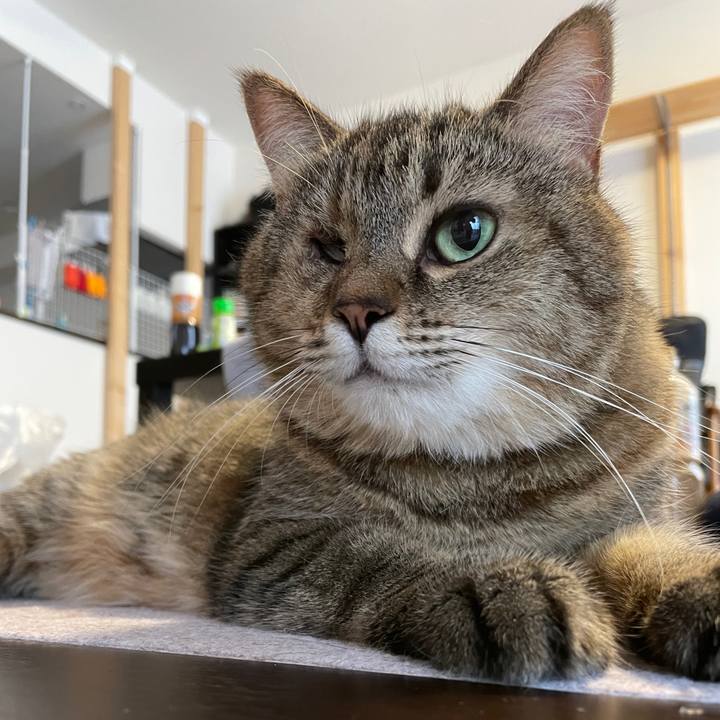 6c998477 16ee 477e 8799 82a5afe3aeec 1627598755236