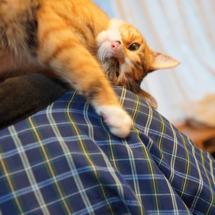 6c999927 f975 4add a76e 1b84ef0af6b3 1587207711833