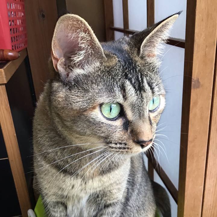 6c99d396 e286 4844 8e50 d320d02bcafd 1628916222758