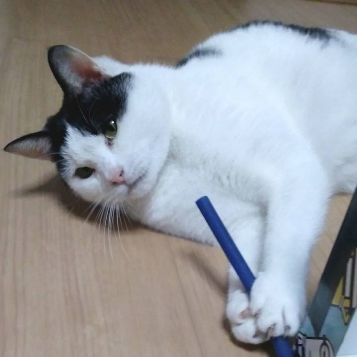 6c9a0d81 3caf 430d 9814 b9ddd3979698 1554291347490