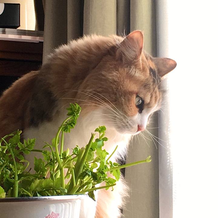 6c9a113f 965d 443e 936c 606e98d1dd50 1588581352669