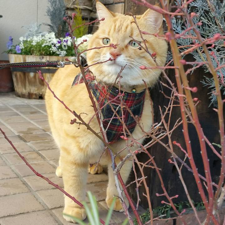 6c9a1804 751f 4950 9c02 cd67ab41e72d 1547088404910