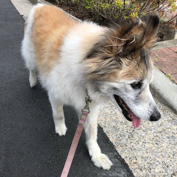 6c9a5ec0 2417 4849 a183 b1b850ca68a1 1532907106587