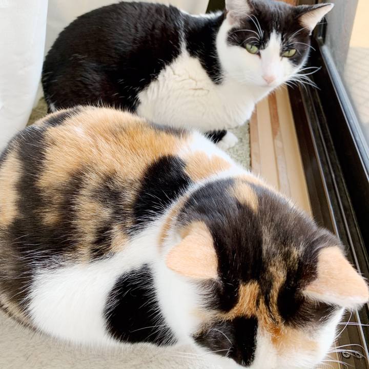 6c9a6428 fc3e 4a81 bc3f 794a8a9e626c 1552531179467