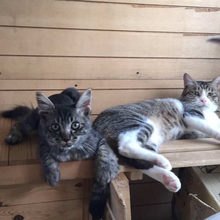 6c9a67e9 467a 4bd1 8ecd 09f47517c2a9 1533342056168