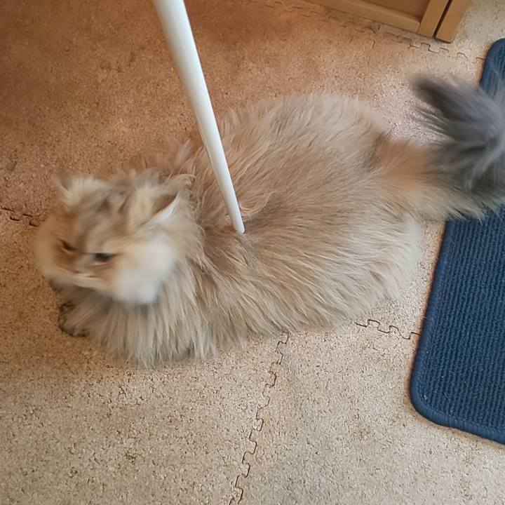 6c9a7182 39a8 44e1 84cb 1291ca7b5f46 1582671695129