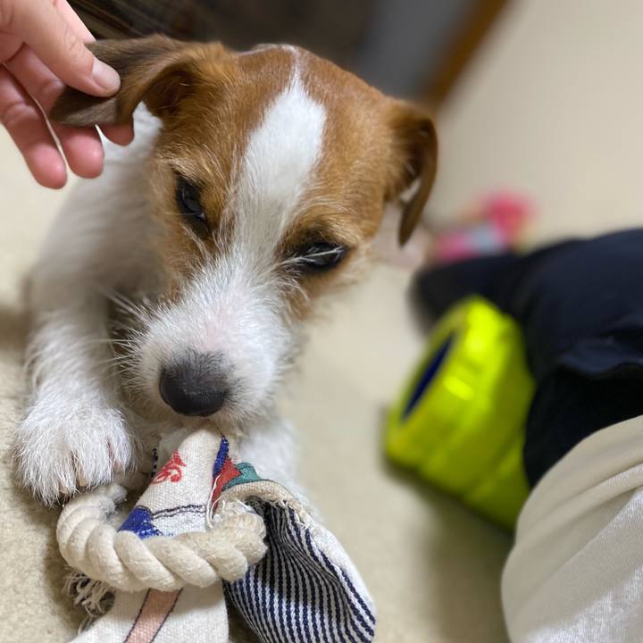 6c9aa235 b32c 49b5 b087 ff788c4d67cc 1663396710874