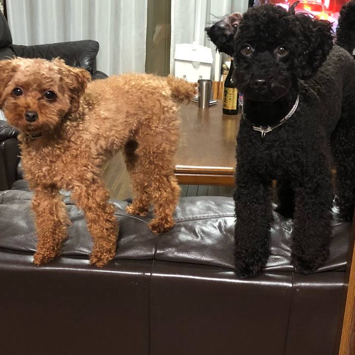 6c9ab2ee 4395 40f1 b1ab e7e37fc1def6 1539511616216