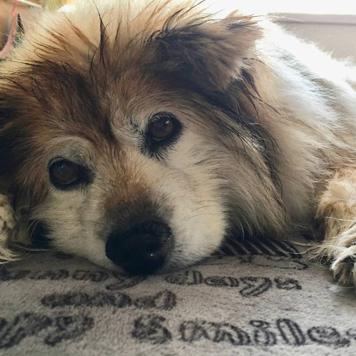 6c9ac3a0 1b45 4b56 bd3b 4b7acead3e90 1605137227212