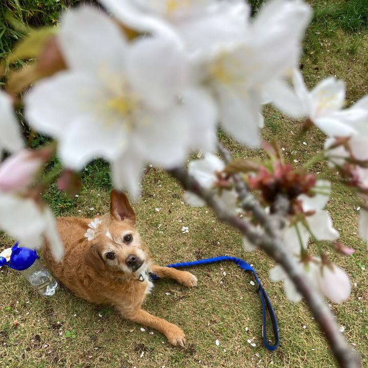 6c9ae996 0104 4650 9114 cdb168d9b0d5 1679629251131