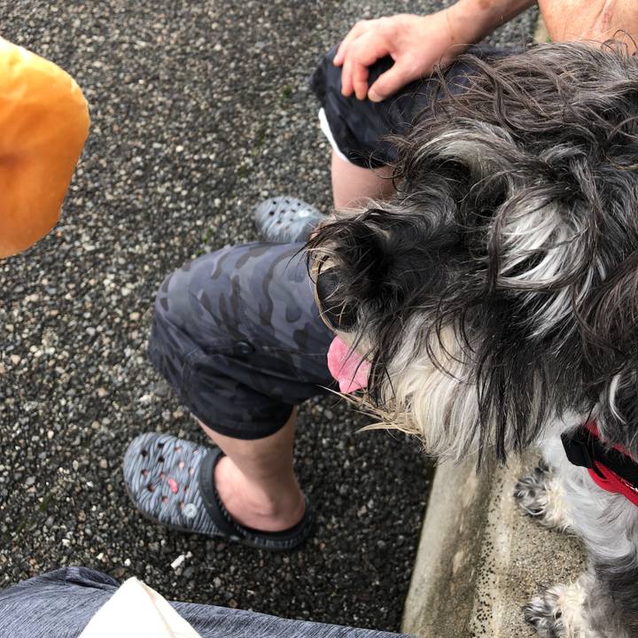 6c9b2f24 d658 40f3 9048 65328c13b77a 1531004866865