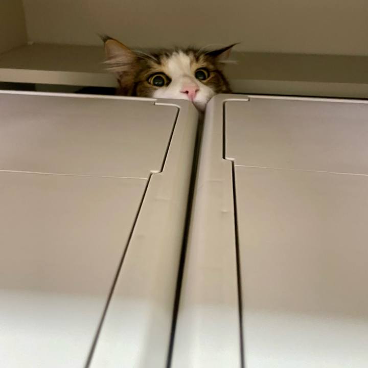 6c9b4d72 9cd3 4370 88df 6d051eb40871 1676842029630