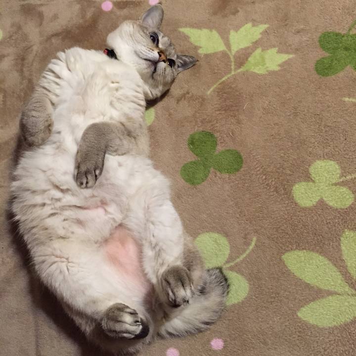 6c9b5218 6ac3 4791 a06d 2a42b72a8ede 1543065985828