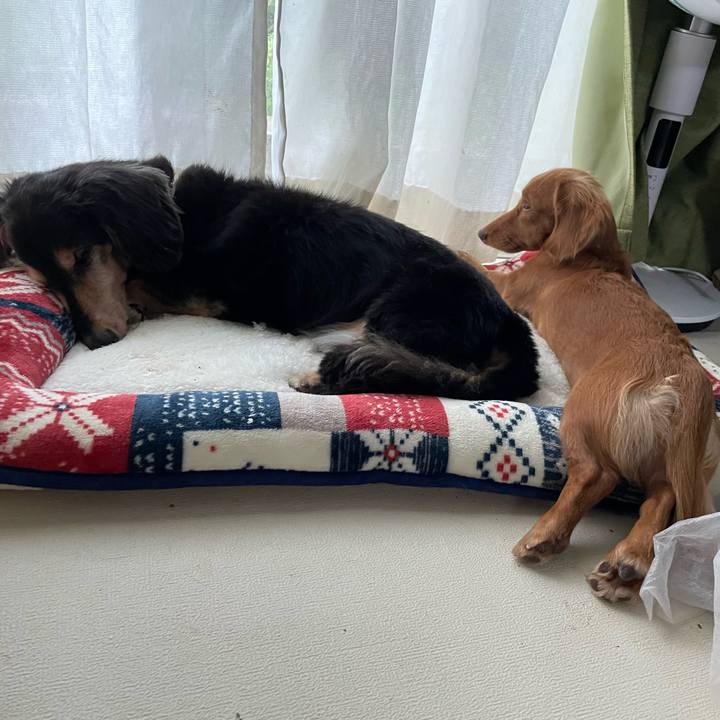 6c9b5ee5 0ed5 4513 b155 deb4bd3427e7 1730520192481