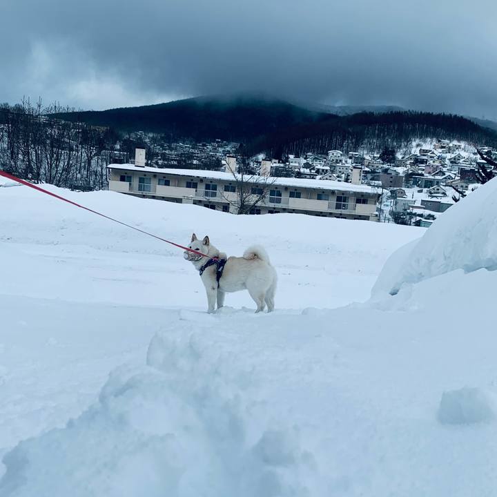 6c9b9595 868a 4068 a86b 0e9668847687 1645503392516