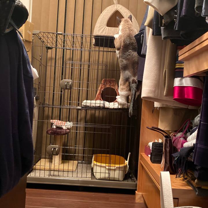 6c9baa49 120c 4f35 97cf 9d768bdab38d 1585573908323