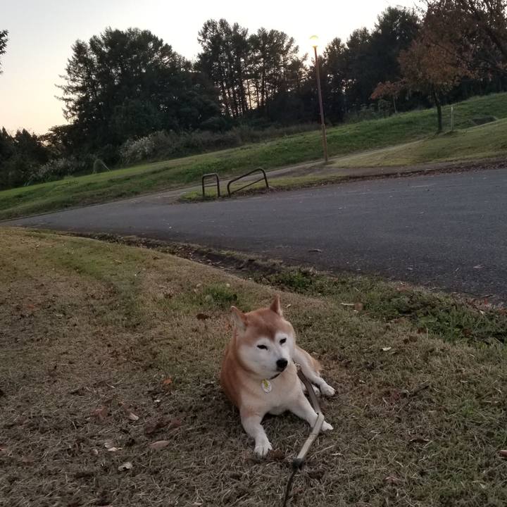 6c9bce1d 0f4f 4288 8f36 d88f3694f461 1666339553596