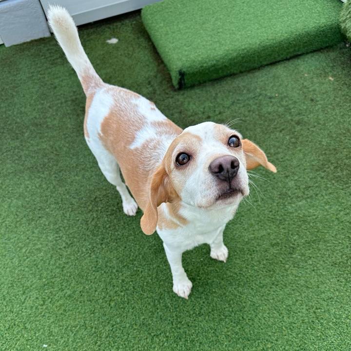 6c9c6f60 57f7 411d a284 dd5480acd22c 1721899394137