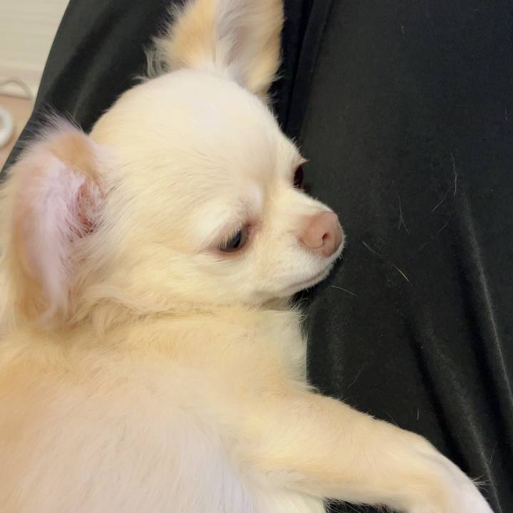 6c9c9094 03a3 4207 8a56 04df925bb7b7 1727094324833