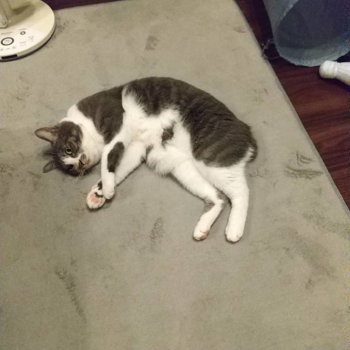 6c9c97ce 058f 471c 9ccc df2c9b411ce7 1631273452203