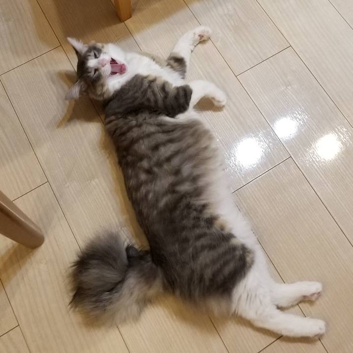 6c9ca231 138a 4c3a 85a6 fd166aab1e6c 1525329404908