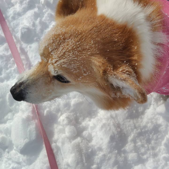 6c9ceccc b557 4e17 963e 87412fa5d458 1739280488402