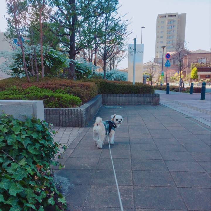 6c9cee9f 190e 4c57 a6d7 06403dc5fdba 1553419162470