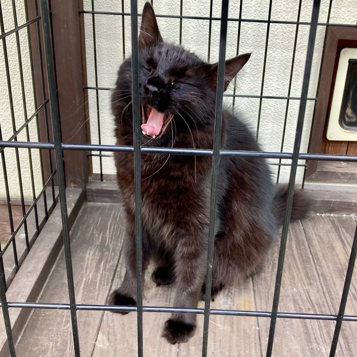 6c9cfdf6 4b07 41c9 9aa4 20cc6174ddd3 1728206317540