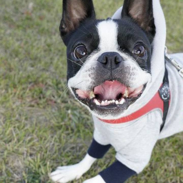 6c9d0fd8 069f 4df1 85d0 41b7009b1fe6 1545654235076