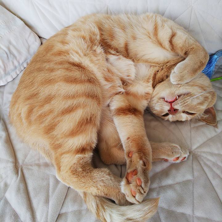 6c9d1827 6dd8 4eff 84d3 328165fa9877 1598135207044