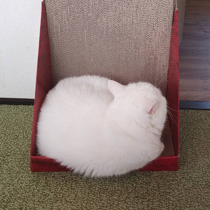 6c9d3104 c5eb 4148 ac36 9cd74648b65e 1662763367022