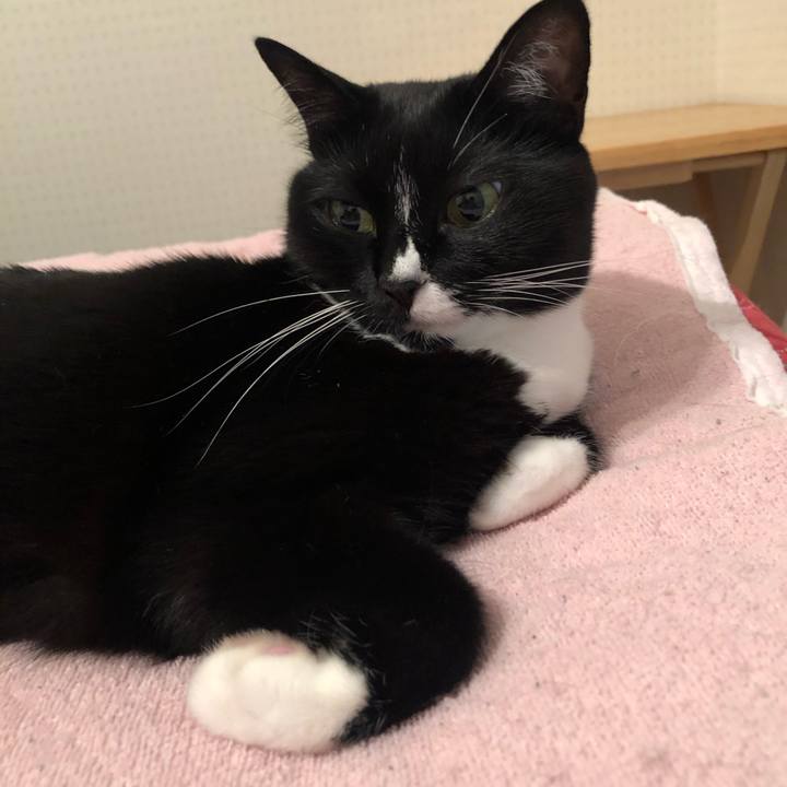 6c9d4394 455a 4ae6 8bad 641ab24f3908 1593918262317