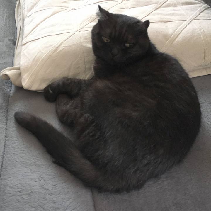 6c9d81e2 a495 46c6 a3ad 7fef7ffb3200 1563669419083