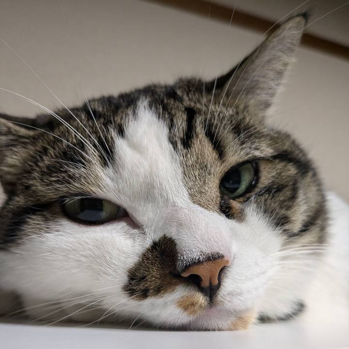 6c9d8c88 63e9 48dc b6eb eacadb221600 1724846720405