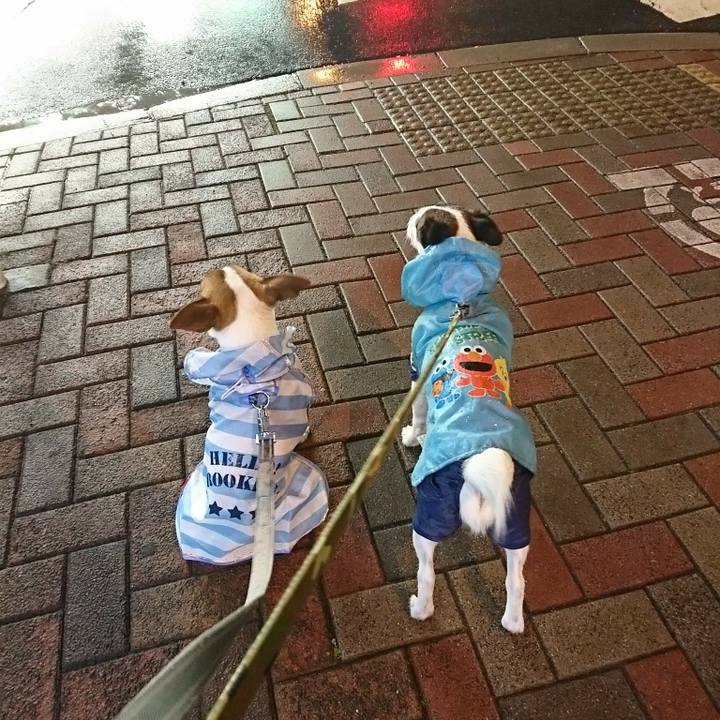 6c9dbf42 9191 4dea abcb db3cf5b6d90b 1525695975491