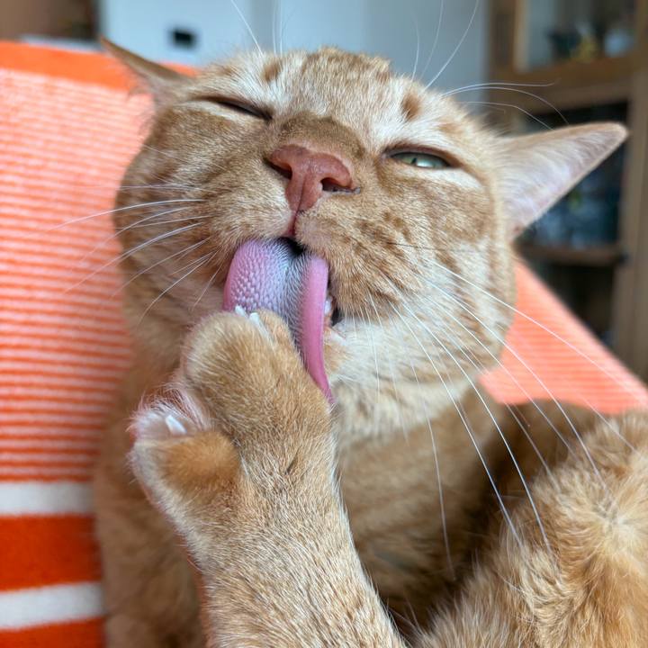 6c9de6ee ae47 483e a17a c1496cfead4e 1772943461930