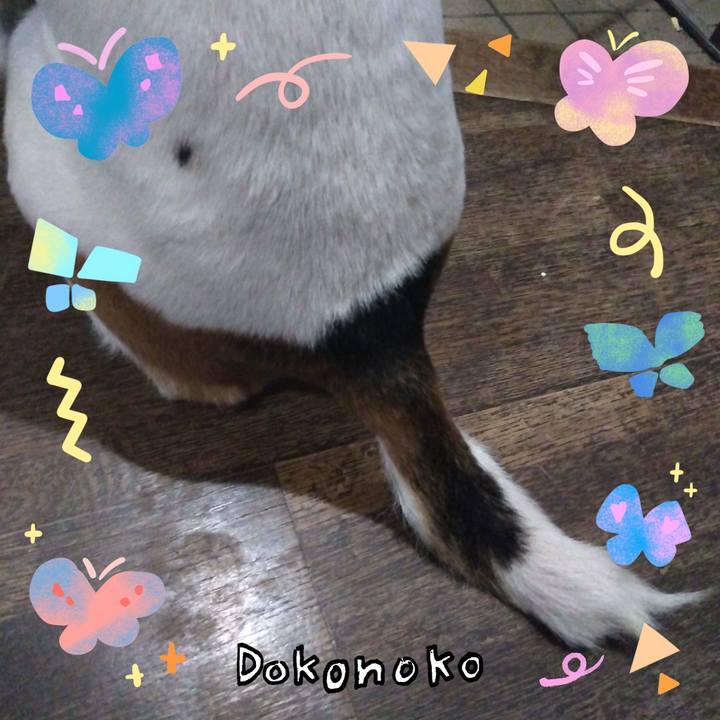 6c9df689 9eea 4d28 9c43 03a6599fa41c 1711375861168