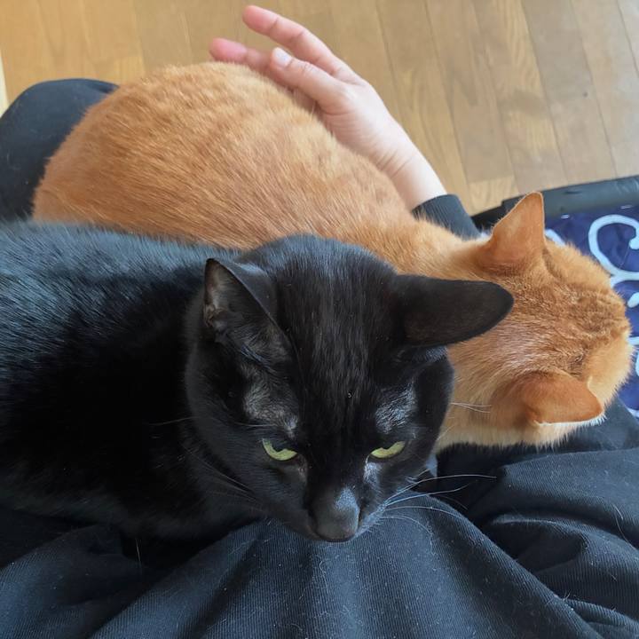 6c9df96b b8ae 486c 957d 7eaf1fc3cb70 1767749631905